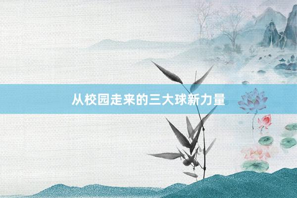 从校园走来的三大球新力量