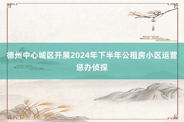 德州中心城区开展2024年下半年公租房小区运营惩办侦探