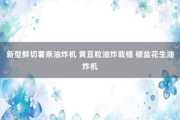 新型鲜切薯条油炸机 黄豆粒油炸栽植 椒盐花生油炸机