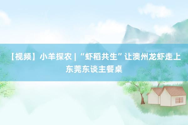 【视频】小羊探农 | “虾稻共生”让澳州龙虾走上东莞东谈主餐桌