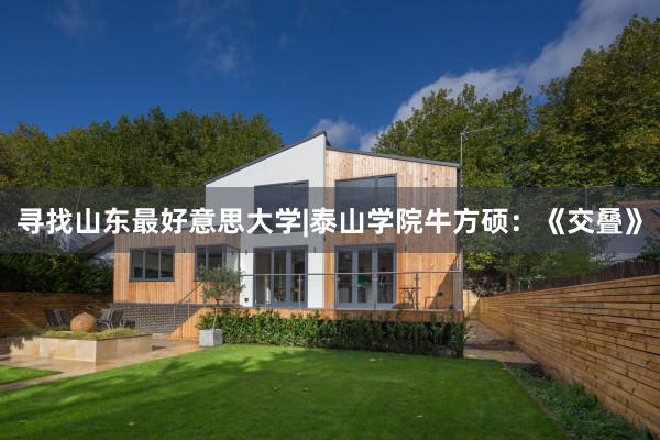 寻找山东最好意思大学|泰山学院牛方硕：《交叠》