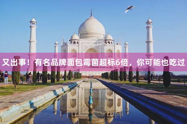 又出事！有名品牌面包霉菌超标6倍，你可能也吃过