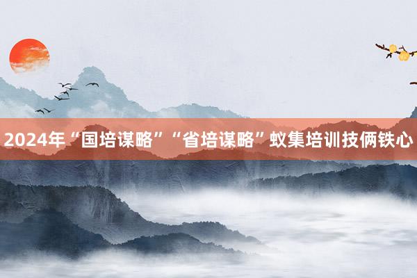 2024年“国培谋略”“省培谋略”蚁集培训技俩铁心